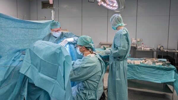 SAIDA-Kompetenzzentrum-Rekonstruktion_Forum-FGM-600x338